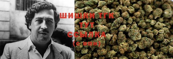 дживик Липки