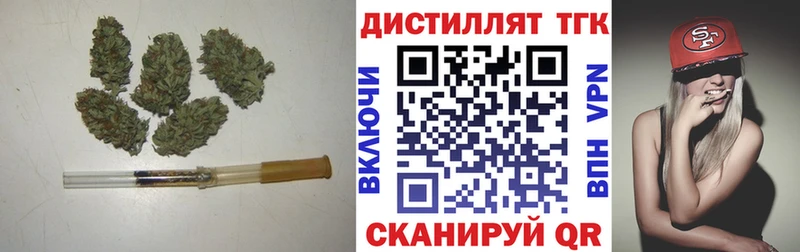 закладки  Димитровград  Дистиллят ТГК концентрат 