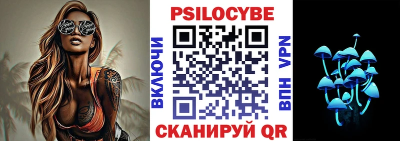 как найти закладки  Димитровград  Псилоцибиновые грибы Cubensis 