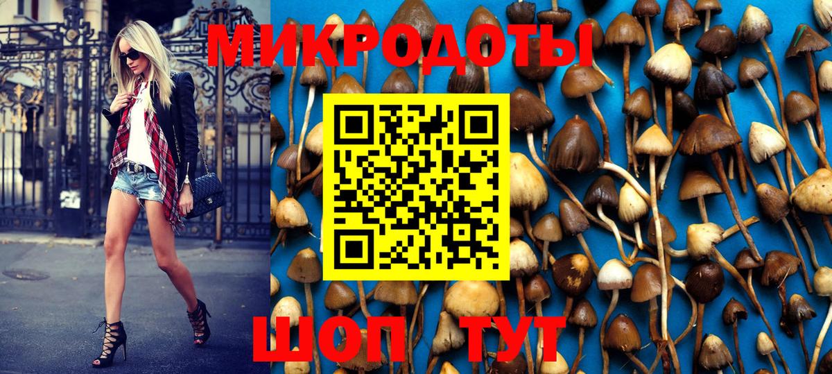 Псилоцибиновые грибы Cubensis Димитровград