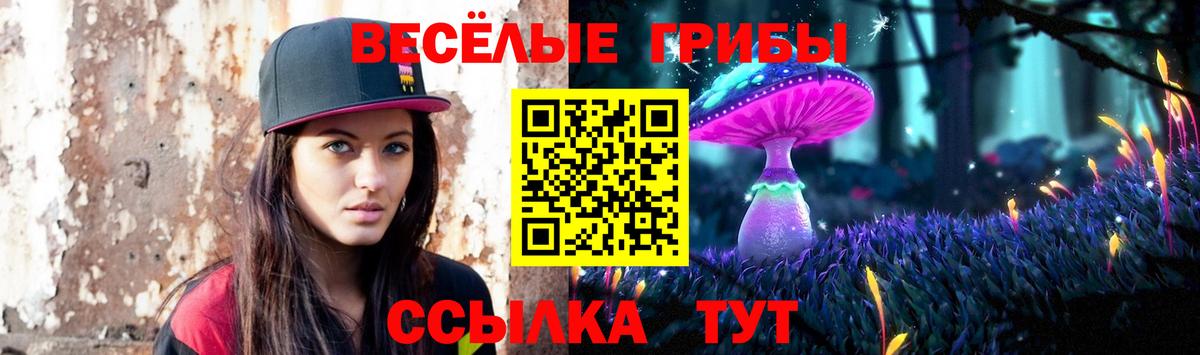 Галлюциногенные грибы мицелий Димитровград
