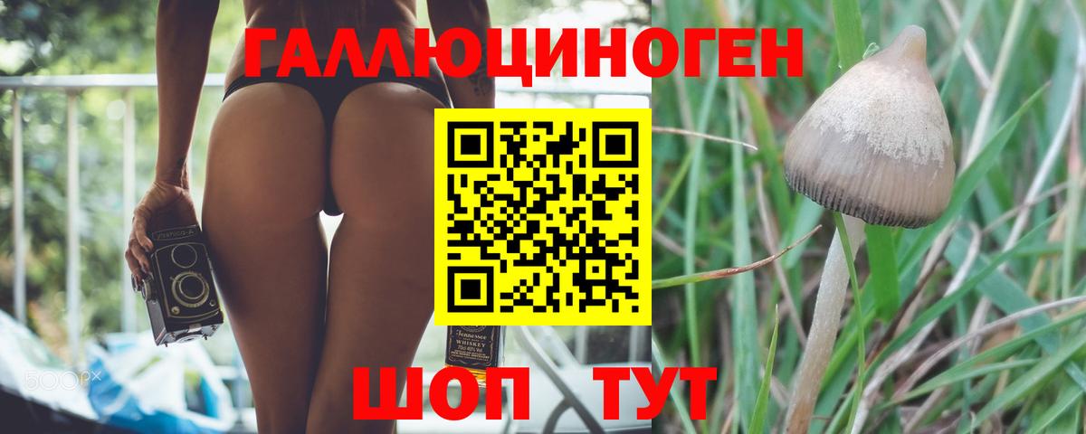 Галлюциногенные грибы прущие грибы  закладки  Димитровград  Вход с VPN 